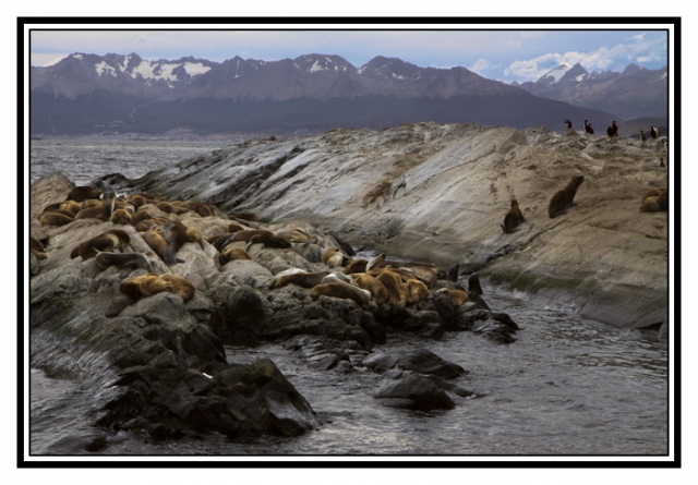 IMG_3898 kim site.jpg